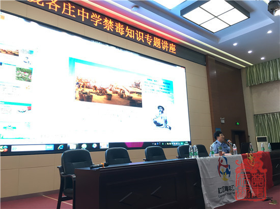 图片4